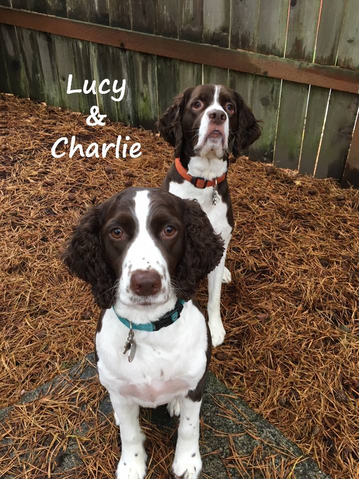 Lucy & Charlie